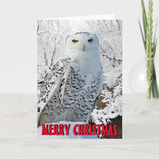 Carte de Noël de hibou de Milou (Devant)