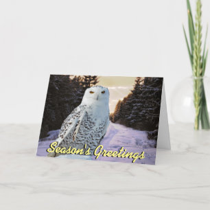 Carte de Noël de hibou neigeux