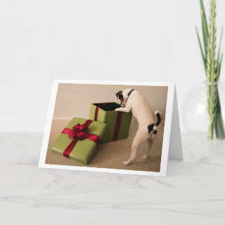 Carte de Noël de Jack Russell Terrier