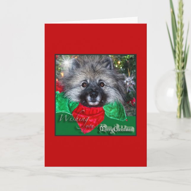 Carte de Noël de Keeshond (Devant)