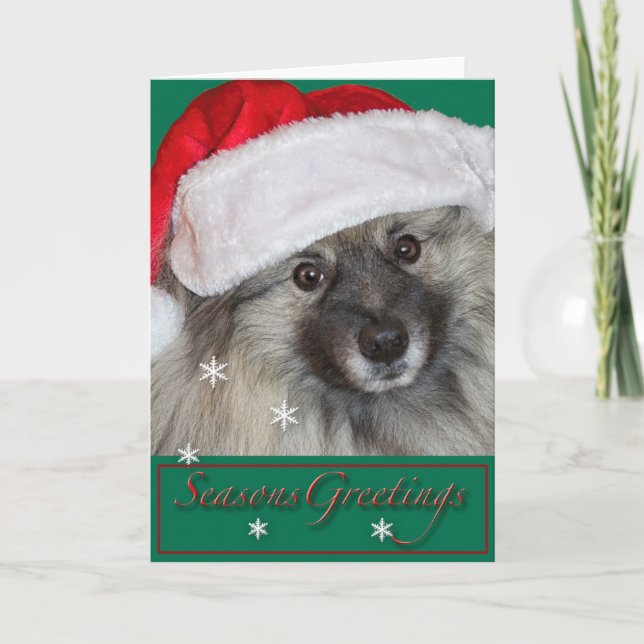 Carte de Noël de Keeshond (Devant)