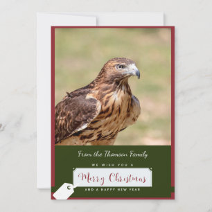 Carte de Noël de la Buse à queue rouge