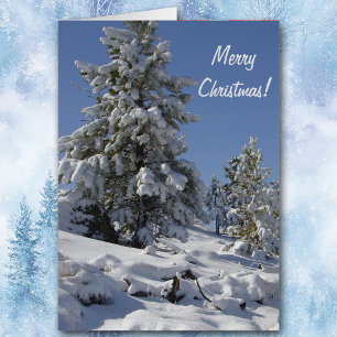 Carte de Noël de la montagne Colorado