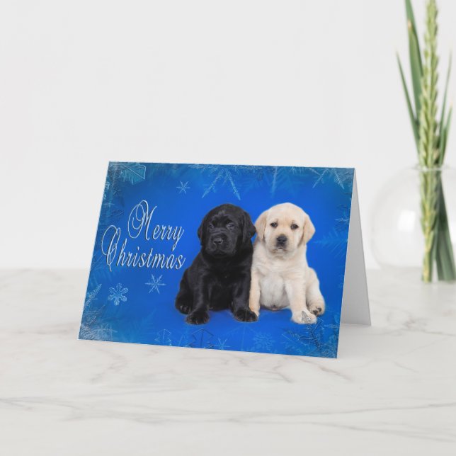 Carte de noël de la récupératrice du Labrador (Devant)