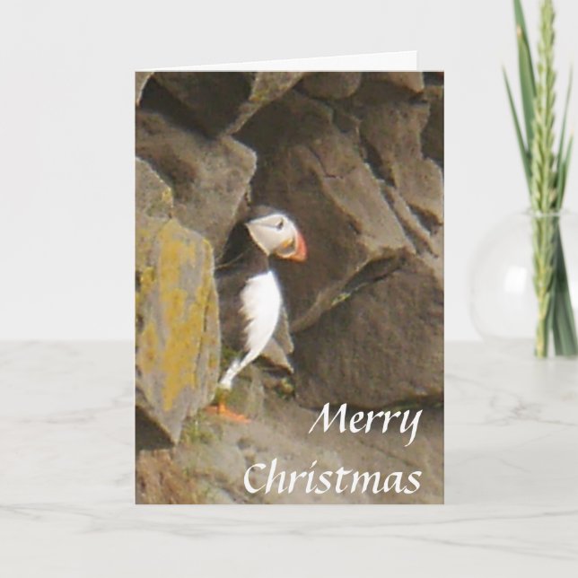 Carte de Noël de macareux (Devant)