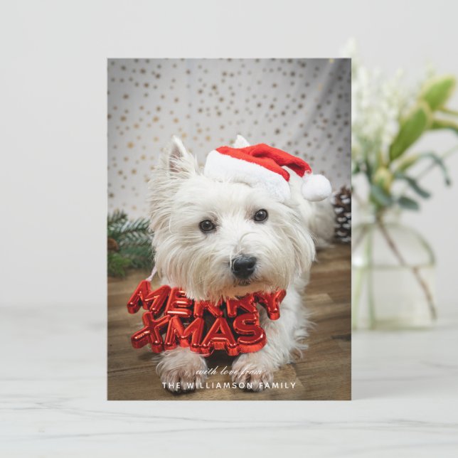Carte de Noël de marionnette de chien mignonne (Debout devant)