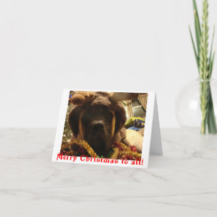 Carte de Noël de mastiff