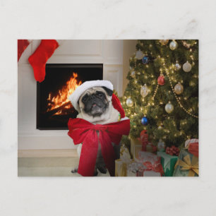 Carte de Noël de Misha de carlin