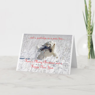 Carte de Noël de Percy