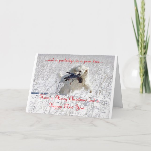 Carte de Noël de Percy (Devant)