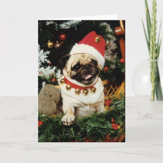 Carte de Noël de Père Noël de chien de carlin (Devant)