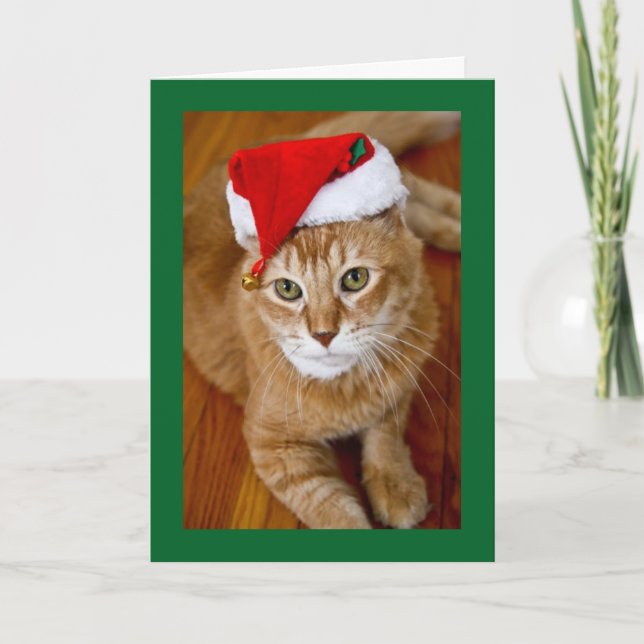Carte de Noël de Père Noël Kitty (Devant)