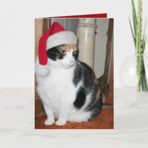 Carte de Noël de Père Noël Kitty pour l'amoureux