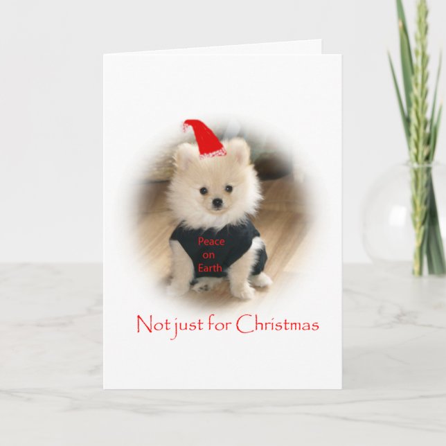 Carte de Noël de Pomeranian (Devant)