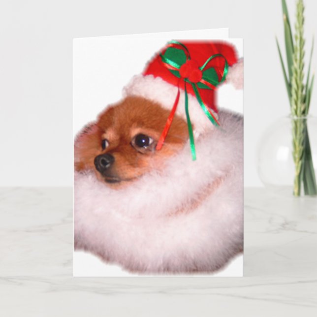 Carte de Noël de Pomeranian Père Noël (Devant)