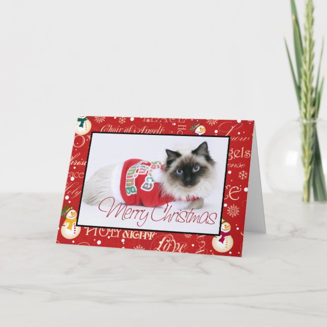 Carte de Noël de Ragdoll (Devant)