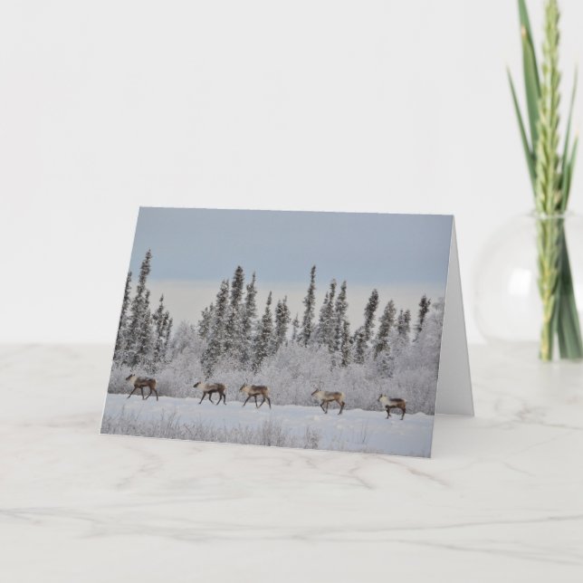 Carte de Noël de renne (Devant)