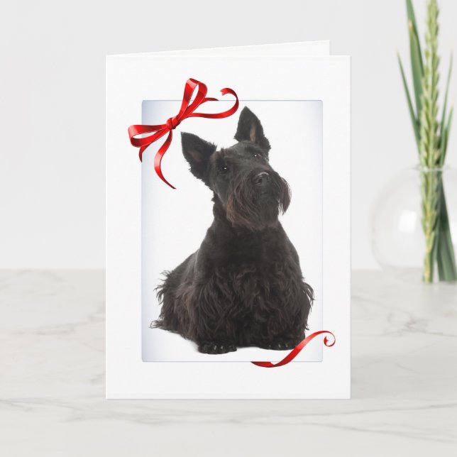 Carte de Noël de Scottie (Devant)