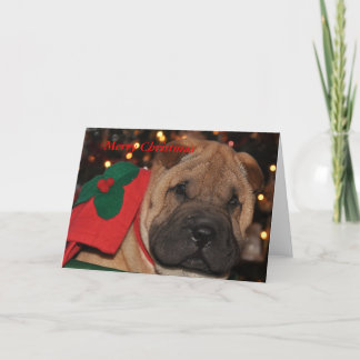 Carte de Noël de Sharpei