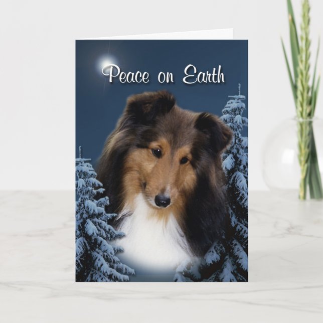 Carte de Noël de Sheltie de paix (Devant)