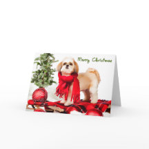 Carte de Noël de Shih Tzu (manteau coupé)
