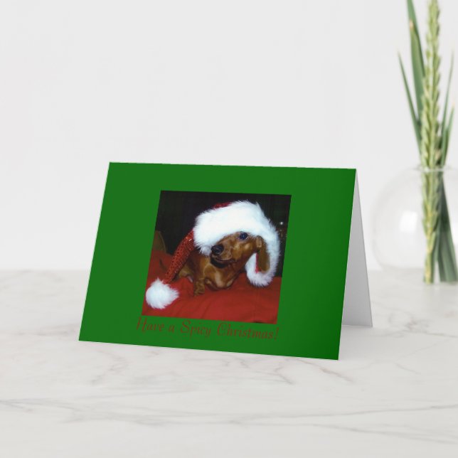 Carte de Noël de teckel (Devant)