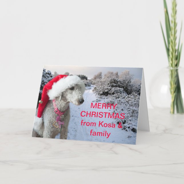 Carte de Noël de terrier de Bedlington (Devant)