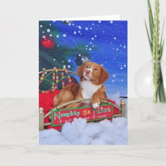 Carte de Noël de tintement de chien d'arrêt de