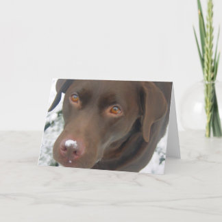 Carte de Noël de vacances - Chocolat Labrador Chie