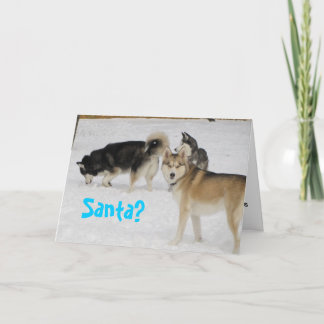 Carte de Noël de vacances de chien de traîneau