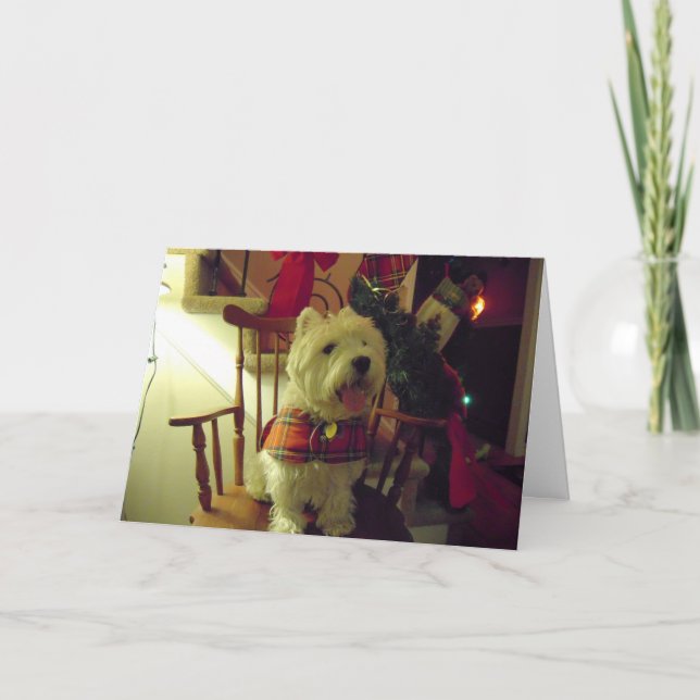 Carte de Noël de Westie (Devant)