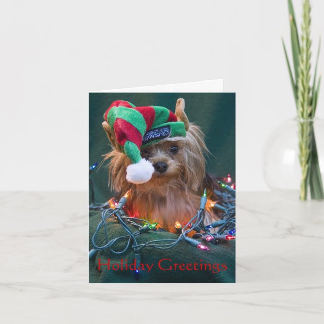 Carte de Noël de Yorkie (Devant)