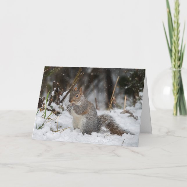 Carte de Noël d'écureuil (Devant)