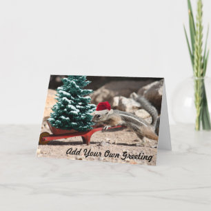 Carte de Noël d'Elf d'écureuil de Père Noël