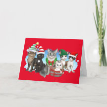 Carte de Noël des chats et de l'équipage 5" x 7"