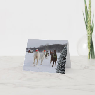 Carte de Noël des chevaux en course