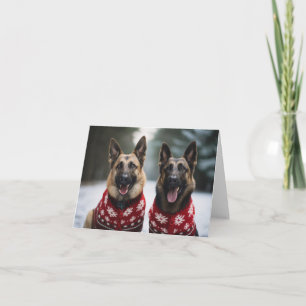 Carte de Noël des chiens bergers belges