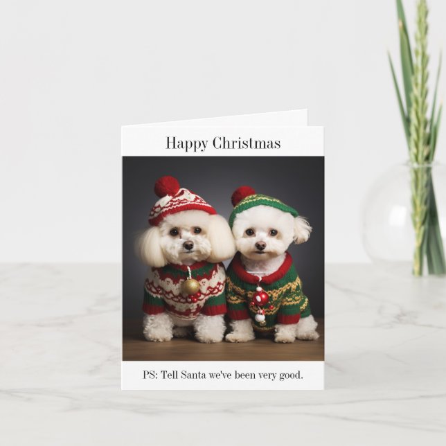 Carte de Noël des chiens Bichon Frise (Devant)