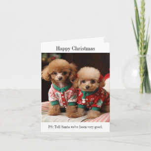 Carte de Noël des chiots de caniche