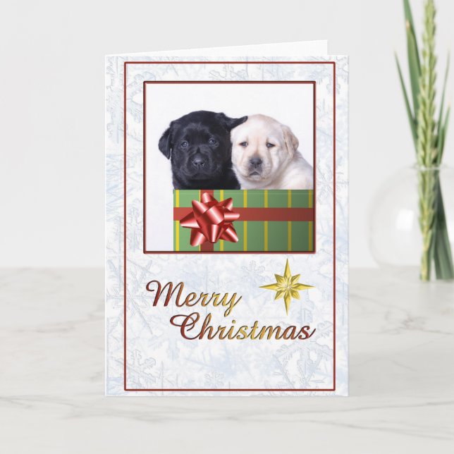 Carte de Noël des chiots du Labrador (Devant)