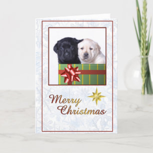 Carte de Noël des chiots du Labrador