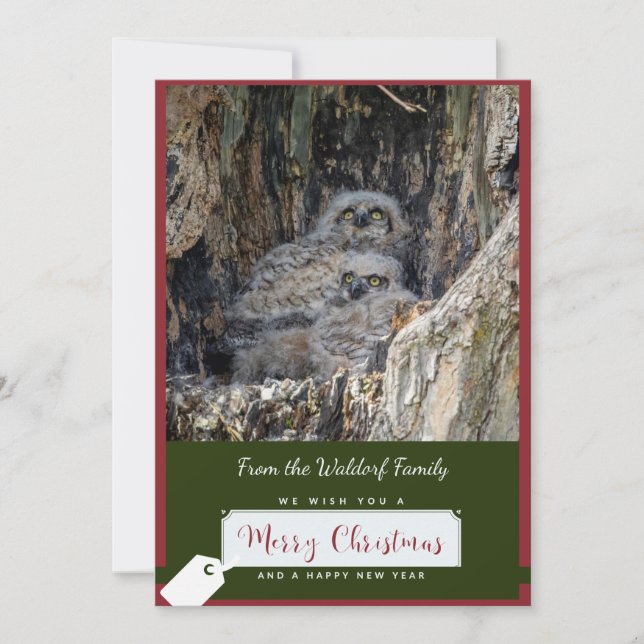 Carte de Noël des Chouettes à grande corne (Devant)