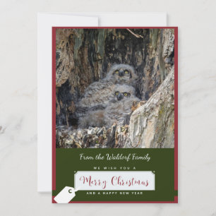 Carte de Noël des Chouettes à grande corne