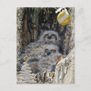 Carte de Noël des Chouettes à grande corne