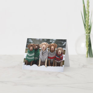 Carte de Noël des récupérateurs de la baie Chesape