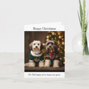 Carte de Noël des Terriers tibétains