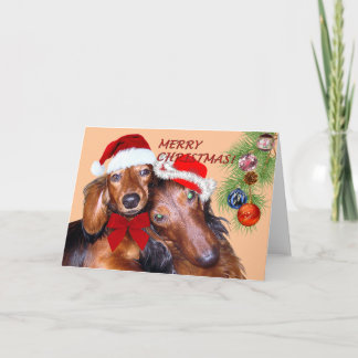 Carte de Noël design Dachshund