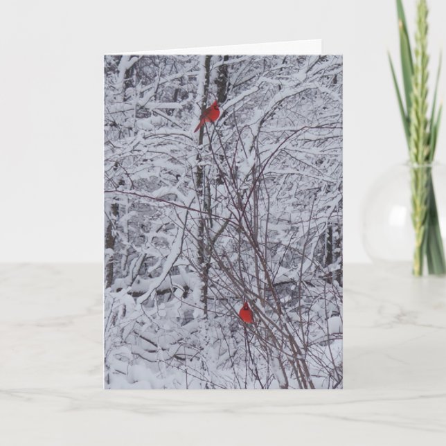 Carte de Noël Deux Cardinaux 7x5 (Devant)