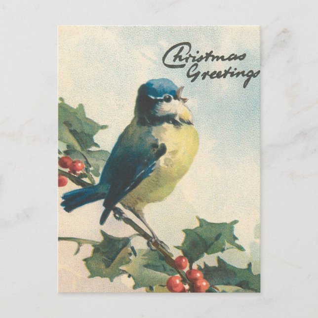 Carte de Noël d'hiver des oiseaux à illustration v (Devant)