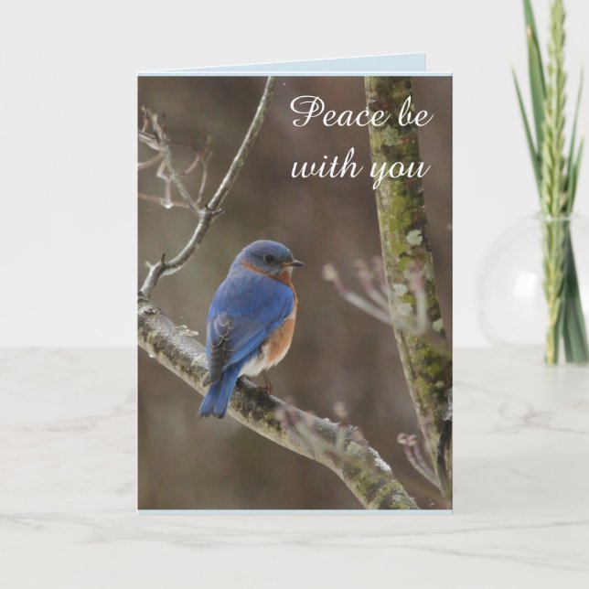 Carte de Noël d'oiseau bleu (Devant)